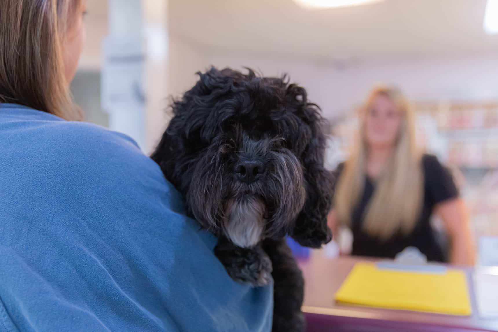 Preventive and Wellness Care