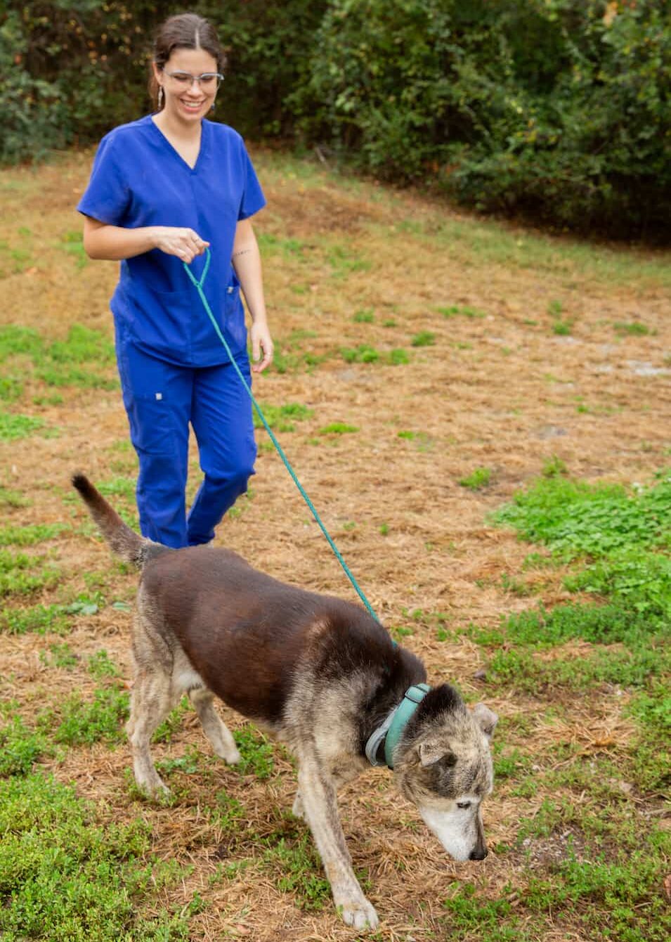 Pet Boarding in Cleveland, TN